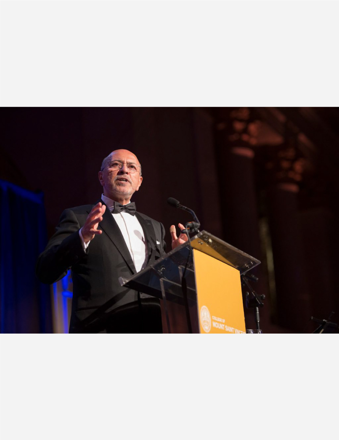 Chairman Shafik Gabr awarded The De Paul Award